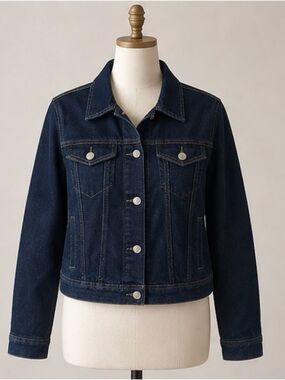 NWT. RISEN The New Essentials Jean Jacket